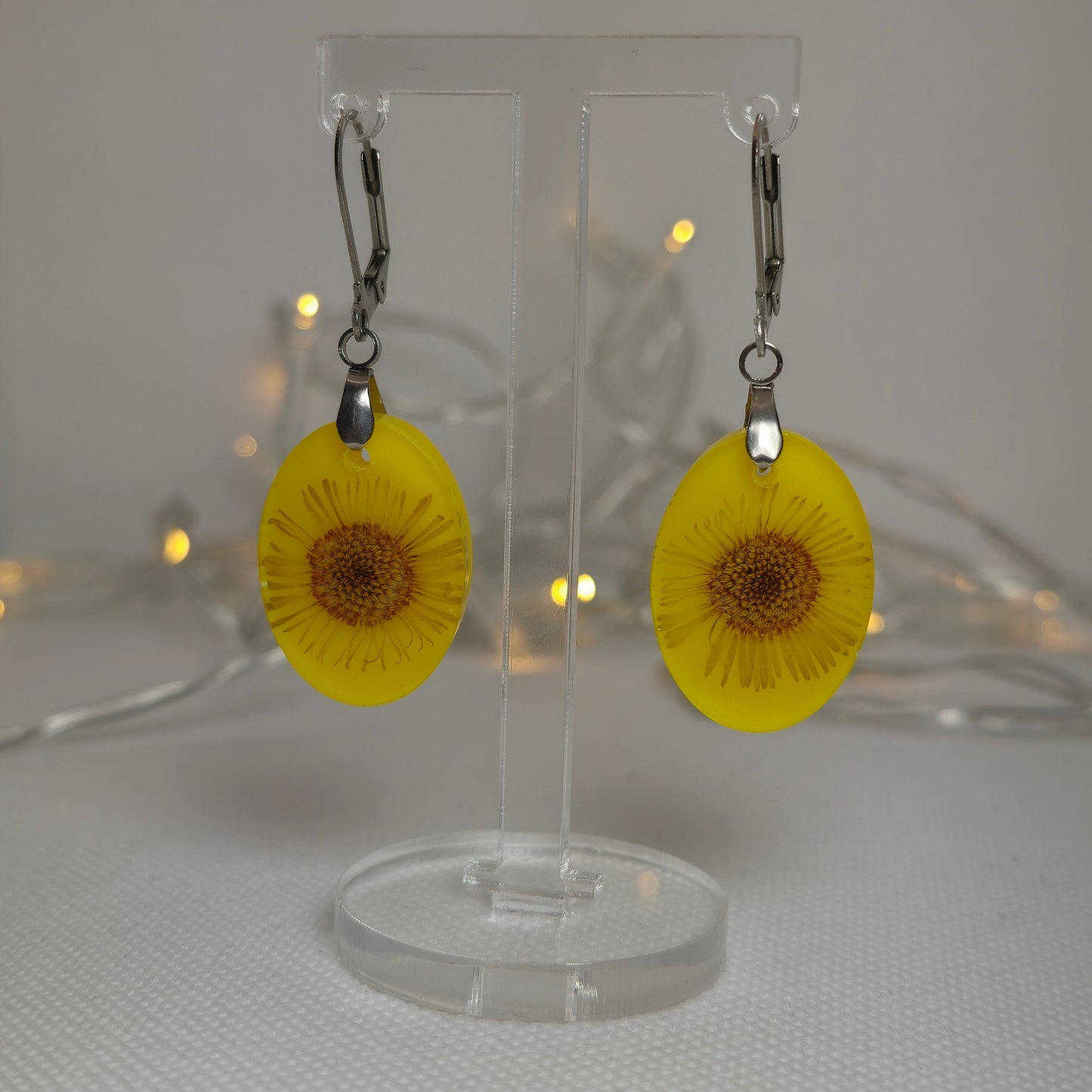 Earrings - Acrylic resin yellow oval drops containing a real dried daisy on a lever back hook
