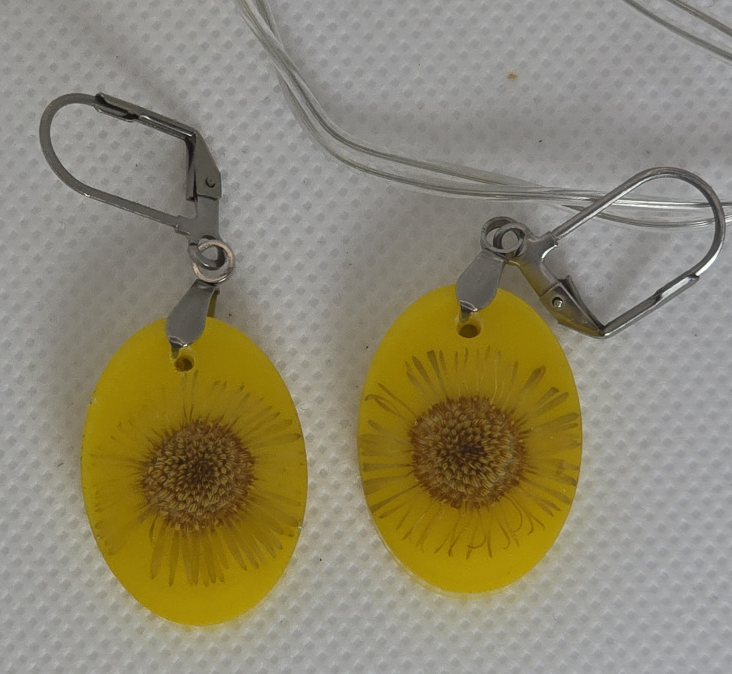 Earrings - Acrylic resin yellow oval drops containing a real dried daisy on a lever back hook
