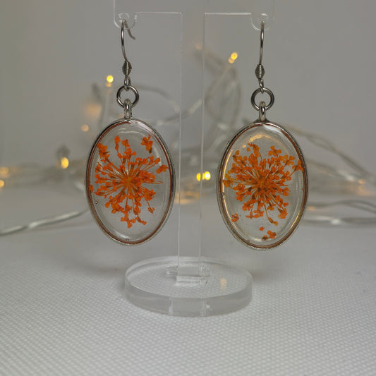 Earrings: Oval shaped bezel with orange Queen Anne's Lace floating in clear resin