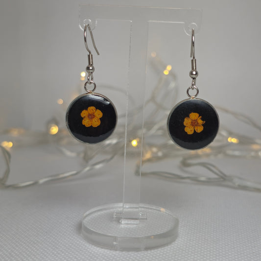 Earrings: Single orange Alyssum flowers resting on beds of black acrylic resin, contained in a round silver-coloured stainless steel bezel.