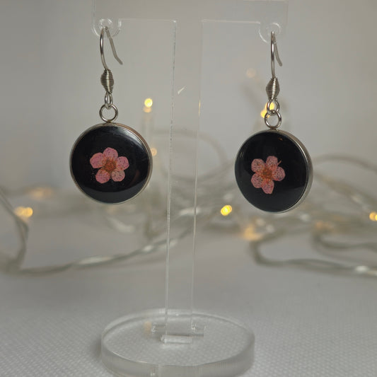 Earrings: single pink Alyssum flowers resting on beds of black acrylic resin, contained in a round silver-coloured stainless steel bezel.